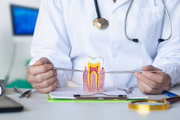 Best Emergency Dental Services for Seniors in Quartz Hill, CA